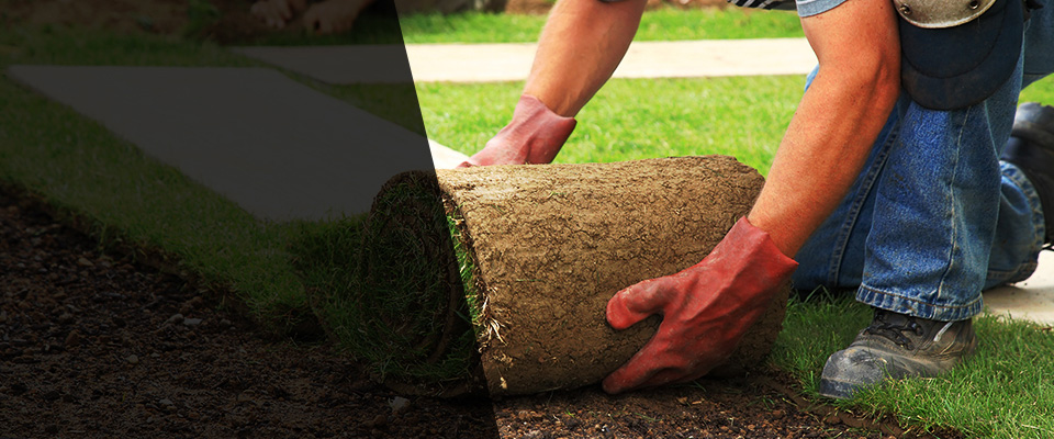 East Longmeadow Landscapers